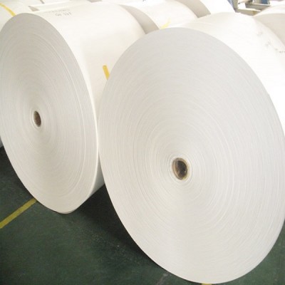 compostable paper cup raw material roll